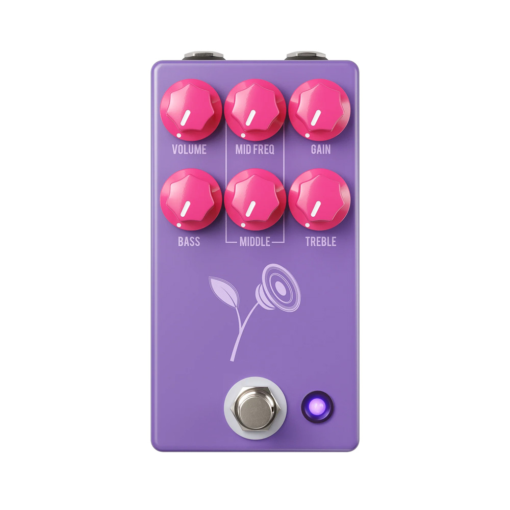 THE VIOLET