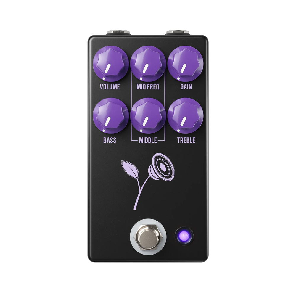 THE VIOLET